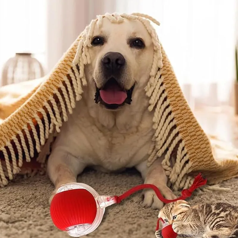 Buy 2 Get Free ShippingSmart Automatic Rolling Pet Ball