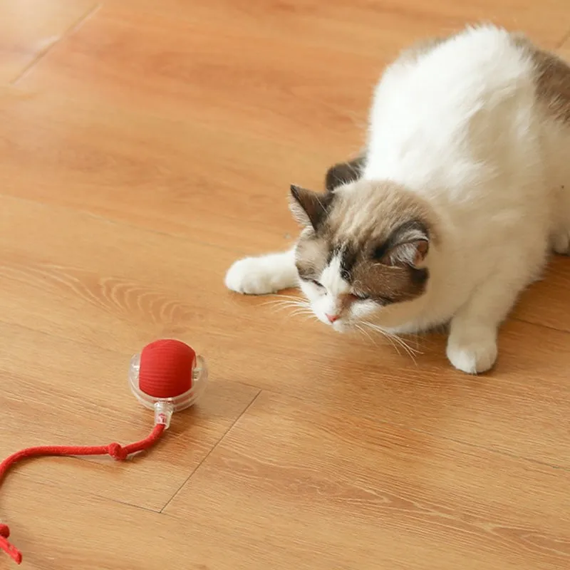 Buy 2 Get Free ShippingSmart Automatic Rolling Pet Ball