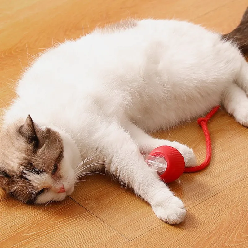 Buy 2 Get Free ShippingSmart Automatic Rolling Pet Ball