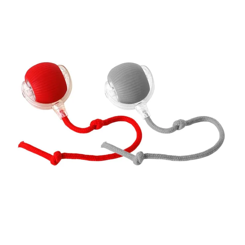 Buy 2 Get Free ShippingSmart Automatic Rolling Pet Ball