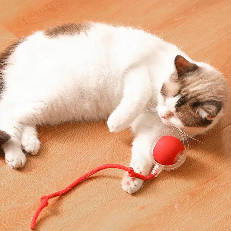 Buy 2 Get Free ShippingSmart Automatic Rolling Pet Ball