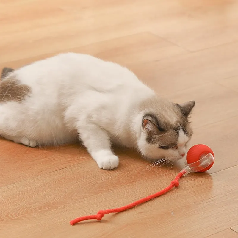Buy 2 Get Free ShippingSmart Automatic Rolling Pet Ball