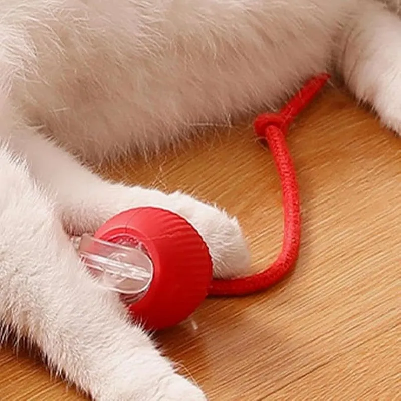 Buy 2 Get Free ShippingSmart Automatic Rolling Pet Ball